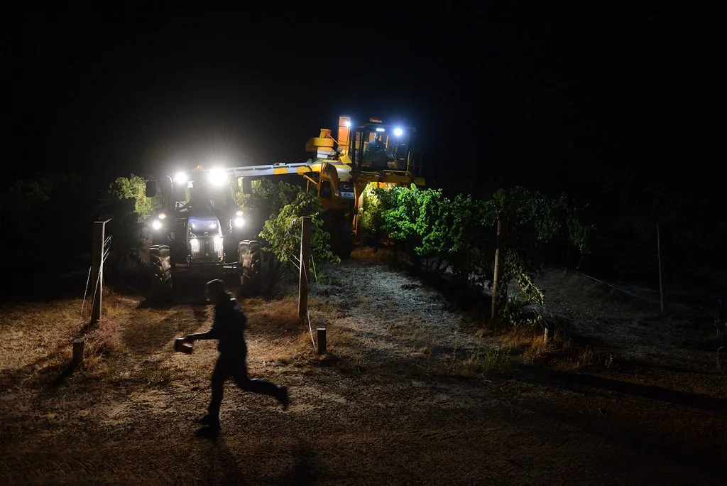 Nocturne — Estate wine · Brand site